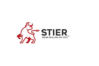 create a stylish, contemporary accounting and financial logo for you