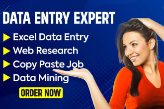 do data entry, copy paste, web research and product listing