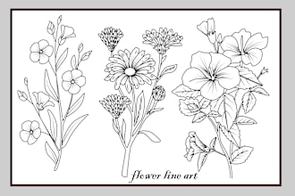 draw botanical and flower line art illustration in 12 hours