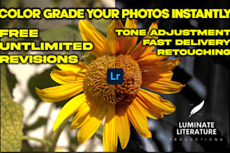 do professional photo color grading