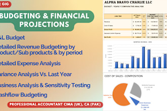 create comprehensive annual budget forecasts
