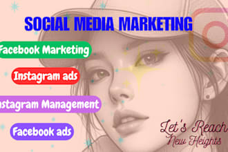 setup targeted top performing paid facebook ads