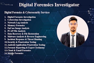do digital forensics, virus, malware and log analysis, cybercrime investigation
