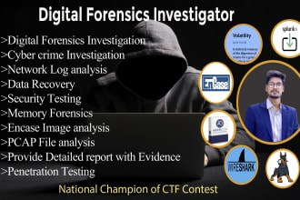 do digital forensics, virus, malware and log analysis, cybercrime investigation