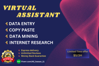 be your virtual assistant for data entry admin and marketing