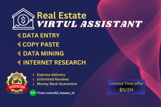 do real estate data entry, web research, data mining and copy paste