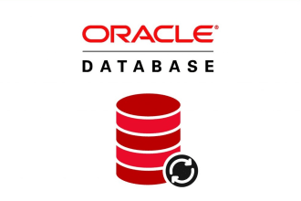 be your expert remote oracle database admin