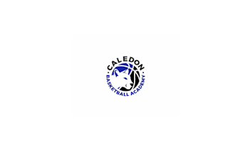 design splendid sophisticated basketball academy logo