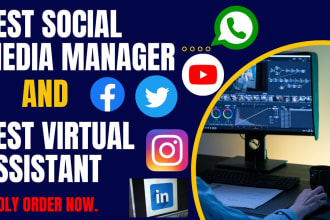 do virtual assistant, ecommerce personal assistant and administrative data entry