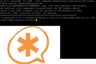 install asterisk, freepbx, ivr for you