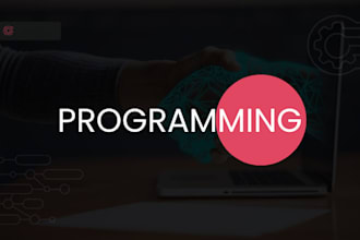 tech any programming and problem solving