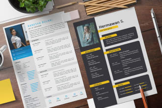 make youre professional cv design