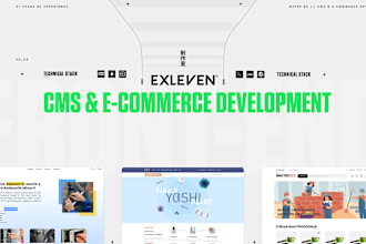 develop web app and ecommerce on cms wordpress