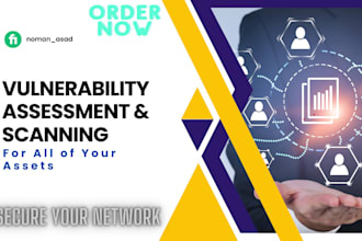 do vulnerability assessment and provide a report