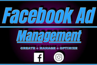 be your weekly and monthly facebook ad manager