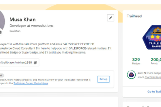 be your salesforce admin, do all kinds of trailhead badges