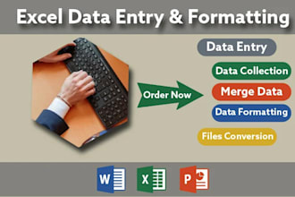 do fastest data entry, manual data entry, typing, copy paste