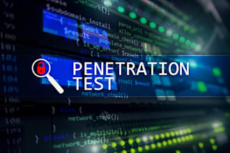 do web application penetration testing with detailed report