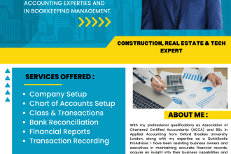 provide professional bookkeeping services