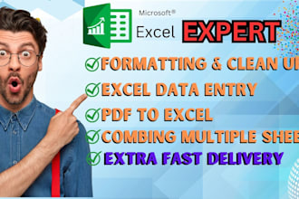 do data entry scraping,any company ms cxcle,and fast deliver