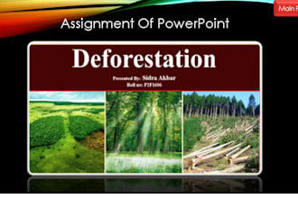 design attractive professional power point presentation slides