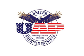 create a professional logo for your political campaign