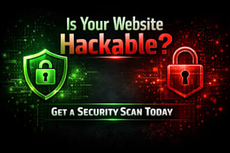 perform a website security audit and vulnerability scan