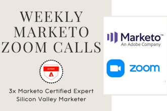 provide weekly marketo support with a 1 hour consulting call