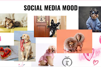 manage instagram and tiktok pages