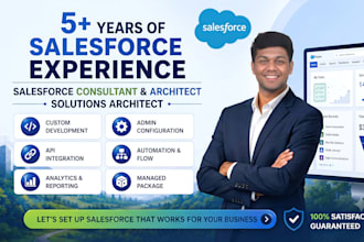 provide salesforce developer or admin support services