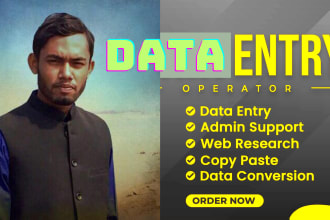 be your data entry operator, copy paste and excel data entry