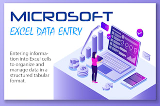 perfect data entry from excel sheet and the fastest urgent data entry in one day