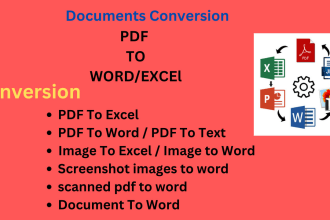 clean, format, organize and convert, data in excel, word, PDF