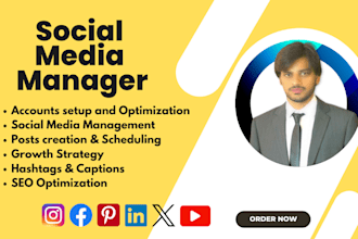 be your monthly social media manager and content creator, monthly management