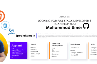 do full stack development angular react asp dot net core mvc