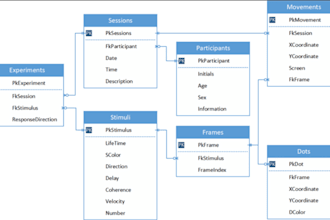 design database for your website
