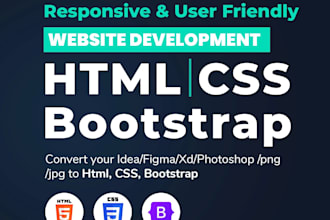 develop a visually stunning and user friendly website