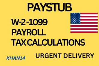 do professional paystub check stub paystubs w2 1040 sch c
