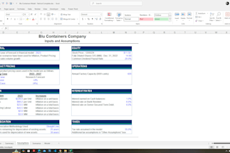 provide business valuation and detailed financial forecasting