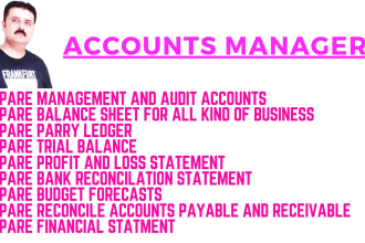 prepare all kind of financial statement