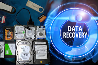 perform data recovery from ssd, hdd, memory card, usb