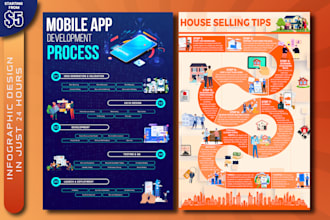do infographic design and statistics charts for business