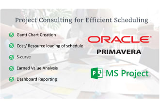 help resource and cost load your schedules, p6 and ms project specialist
