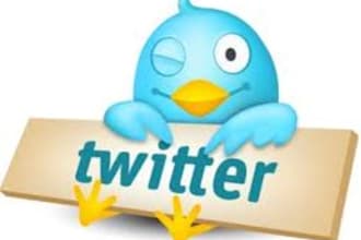 create a custom twitter account with real followers promote your website, blog, products or whatever you want as many times as you want