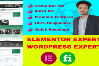 be your elementor expert for elementor wordpress website by elementor pro