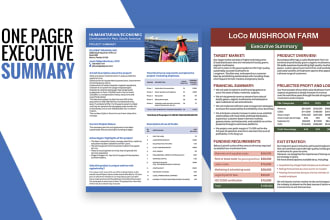 design custom one pager executive summary