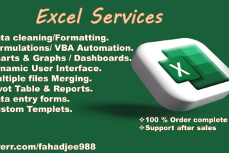 analysis excel sheet, data cleaning, and organizing
