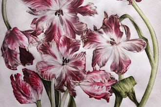 create a botanical illustration
