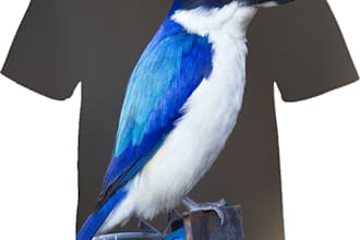 design sublimation tshirts all over print
