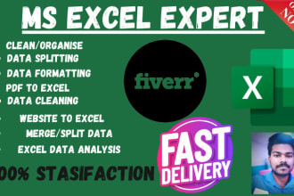 do data entry work based on ms excel, data splitting